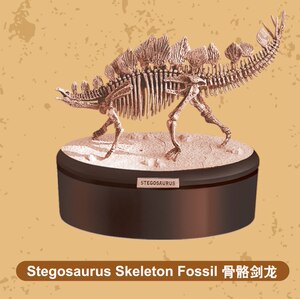 2017新款 4D益智拼装模型玩具 拼插恐龙化石骨架模型 恐龙骨骼