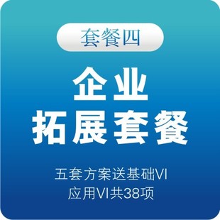 VIS设计 VI全套 logo设计 VIS VI设计