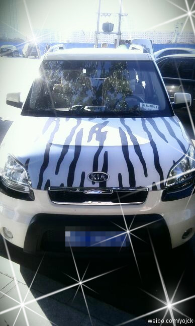 斑马纹车贴汽车涂鸦亚光改色车身