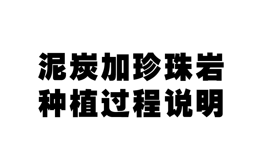 泥炭加珍珠岩的种植过程说明（看看那就好 别拍啦！！）