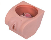 高级计划生育教育模型