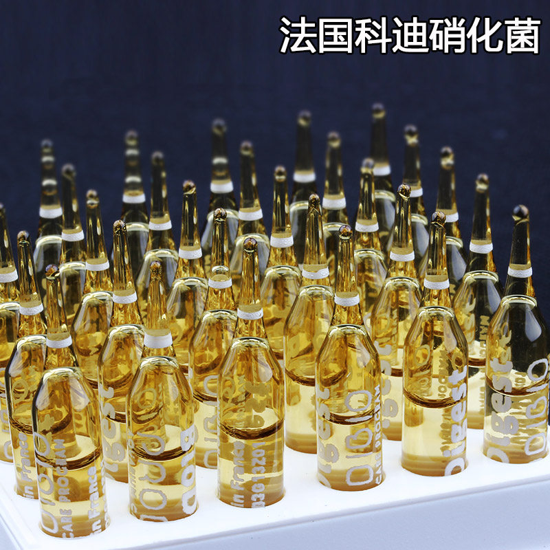 正品科迪硝化细菌法国超级包邮