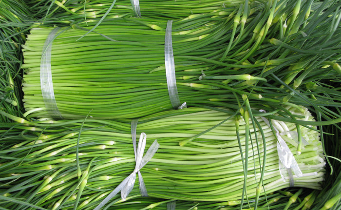 新鲜蔬菜   新鲜蒜薹  新鲜蒜台  500g 京津冀88包邮顺丰快递