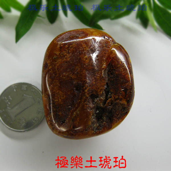 【极乐土琥珀】1020天然蜜蜡原石原料 天然 保真 波罗的海 蜜蜡