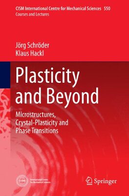 【预订】Plasticity and Beyond