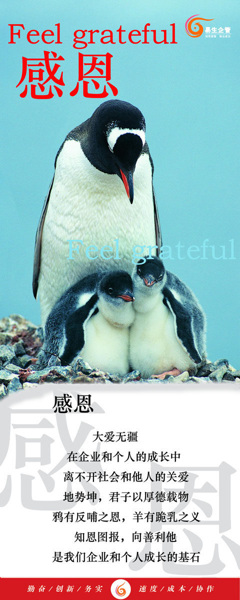 548海报印制海报展板素材136感恩 团队文化 个性定制