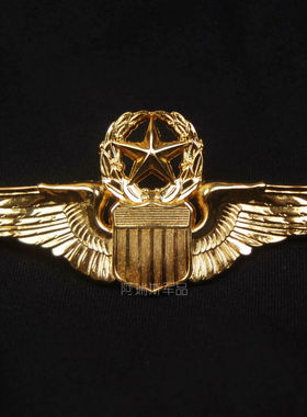 金色 飞行章 USAF 飞行员胸章 技能章 徽章