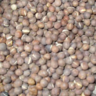 农家自种自炒熟 麻豌豆小豆子 豌豆 原材料香 脆 酥 小零食