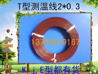 T型铁氟龙测温线 热电偶感温线 温度传感导线2*0.3mm