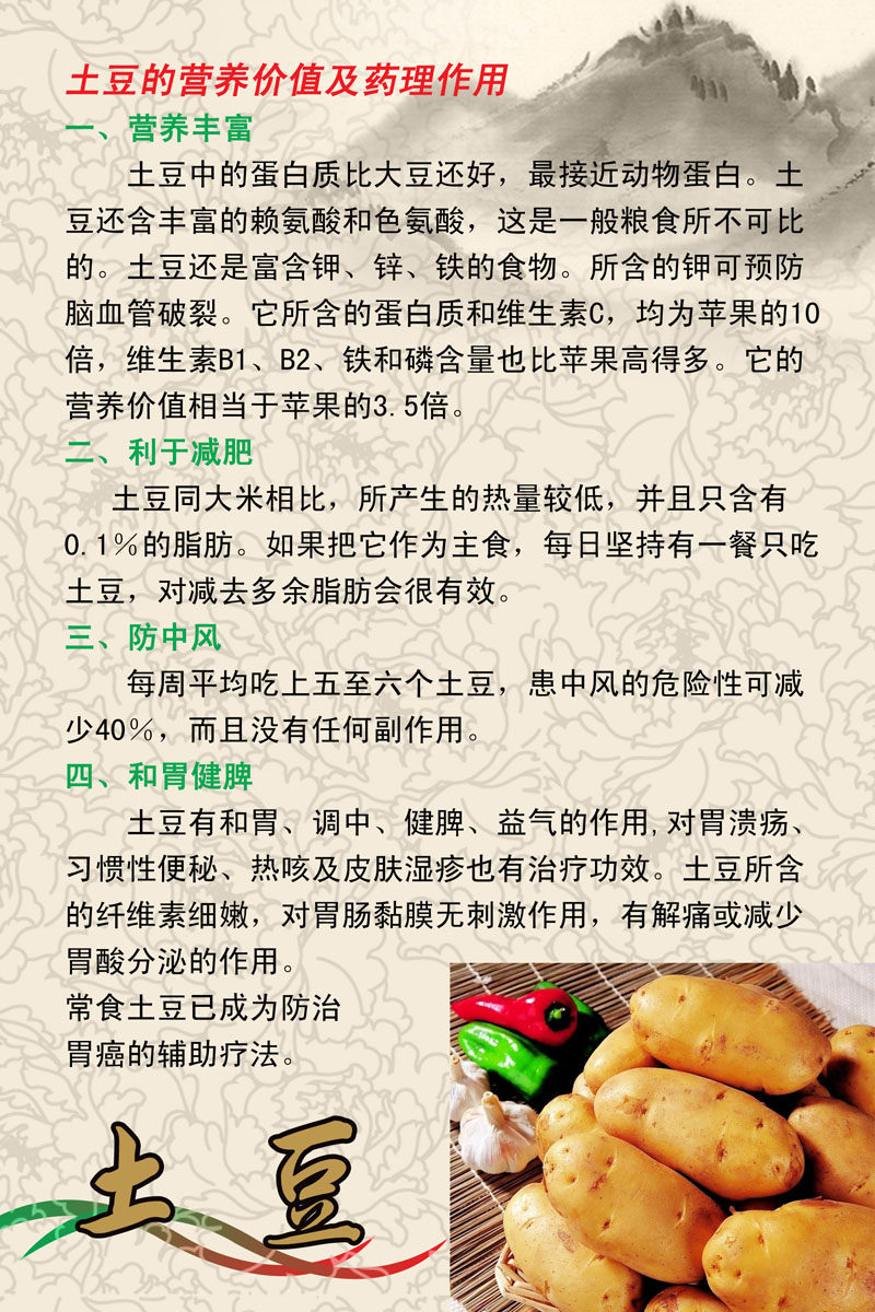 629海报印制海报展板素材266土豆营养价值宣传