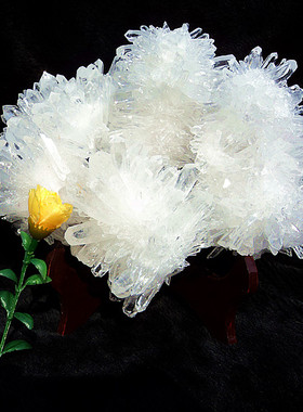 鳌犷天然白水晶簇 白水晶柱摆件底座是天然红木190*200MM1.9kg