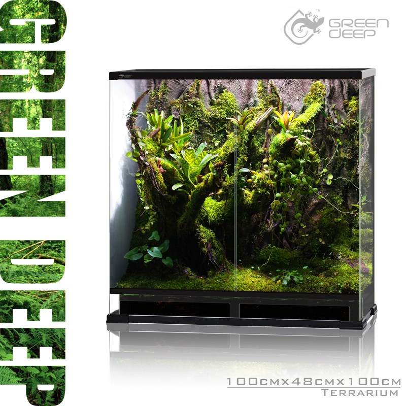 GreenDeep格林德 微景观造景热带植物生态雨林缸饲养箱 爬箱定制