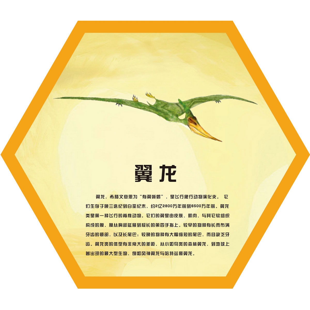618海报印制海报展板素材791翼龙恐龙介绍科普知识学习学校