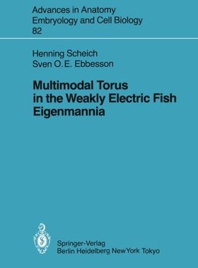 【预订】Multimodal Torus in the Weakly Elect...