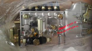 C27 1111100A 5015A和MD300 1111100 CB6P639 YC喷油泵 538 M7600