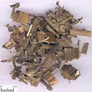 中药材中草药大蓟500克