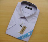 雪青色AA 正品 0236 经典 海螺衬衫 衬衫 DM28N海螺纯棉男式 短袖 免烫