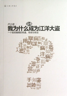 我为什么没有成为江洋大盗 正版文学书籍