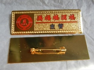 徽章胸章滴胶高档金属胸章星飞图片