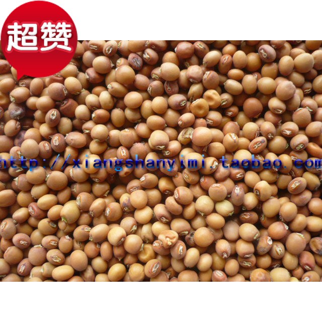 双鱼农家龙岩本地传统品种树豆药用赤小豆药豆赤豆干货功效好500g