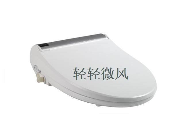 izen马桶盖智能座便器