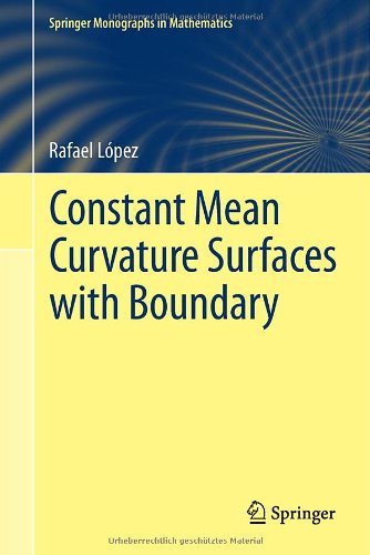 【预订】Constant Mean Curvature Surfaces wit... 书籍/杂志/报纸 原版其它 原图主图