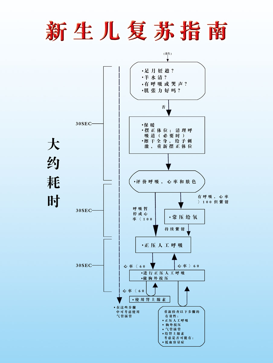 海报印制345设计服务海报展板素材9新生儿复苏指南p