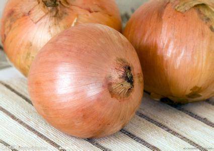 广东顺丰包邮  大干葱 白洋葱  新鲜白洋葱特价一斤3元