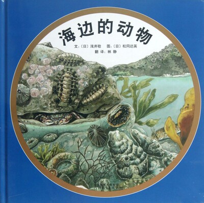 海边的动物 精装 全书以精美绘图为主 配以简短扼要的说明 引导儿童探索海边的水族世界