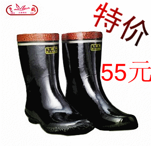 Chaussures - bottes caoutchouc homme - semelle caoutchouc - Ref 960449 Image 1