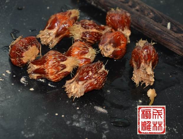 全红进口滴血莲花菩提子花骨朵形式7成品，佛光宝石菩提子 核雕