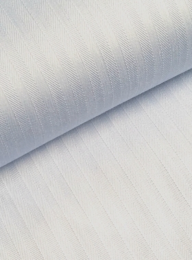 定做白色衬衣面料布料 韩版修身衬衫定制实体店 工作服职业装s601