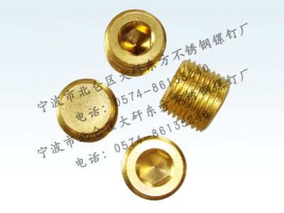 全铜 4分 管道 软管 堵塞 堵头 水暖 水管 配件 4分外丝铜堵头