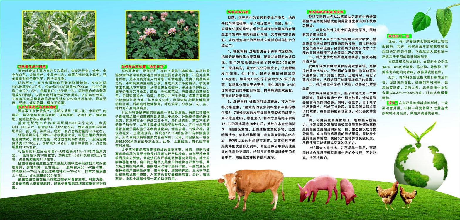 587海报印制海报展板素材666生态农业科普示范基地牛鸡猪