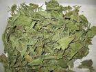 *甜菊叶 甜叶菊 500克