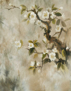 热销影楼主题摄影高清背景超真挂拍数码 3765 白画布防水PP纸CM