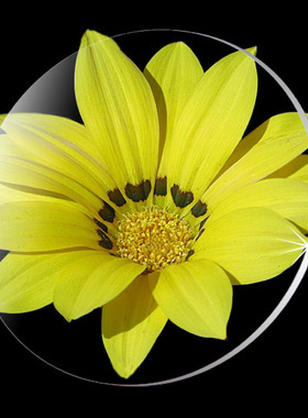 上网伴侣1.555绿膜防辐射电脑护目树脂眼镜片/15元一片,