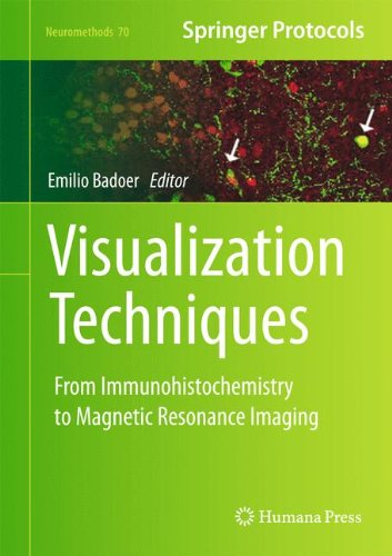【预订】Visualization Techniques