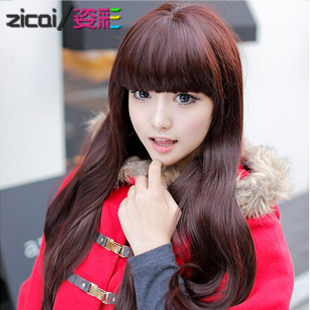 Perruque Les cheveux longs - Ref 2613127 Image 1