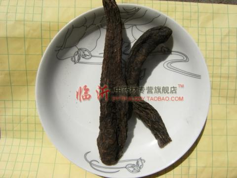 肉苁蓉阿拉善中药材