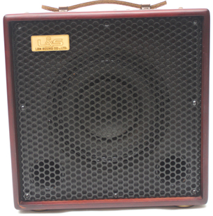 100II高档电箱民谣吉他音箱 100W原声木吉他音响 FreeMan 丽声LSM