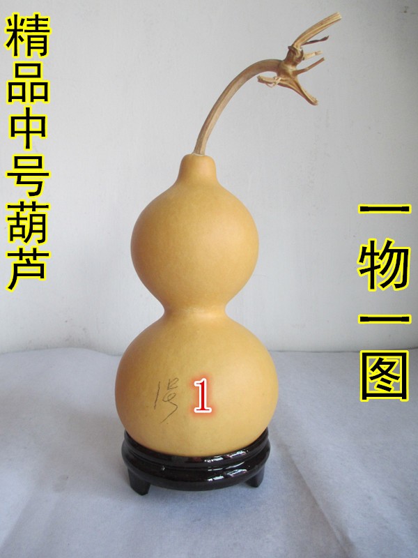 天然小中号本色原色观赏把玩葫芦摆件挂件15-18厘米一物一图