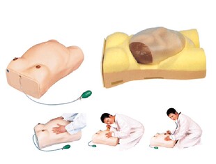 怀孕检查模型 妇科检查模型 高级电脑孕妇检查模型GD FW2