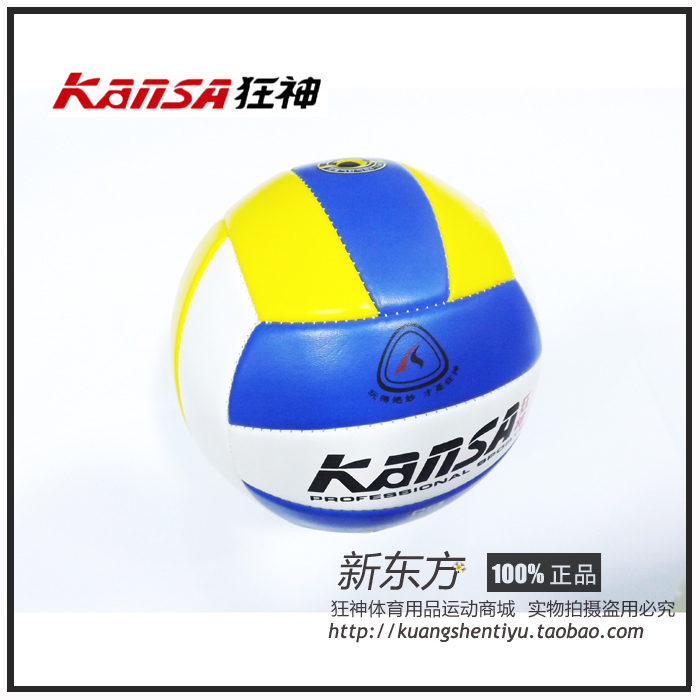 Ballon de volley - Ref 2013595 Image 1