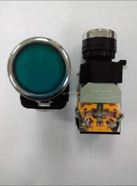 LA38-11DZS  交流AC 220V  24V 绿色(红色) 带灯带锁 按钮开关