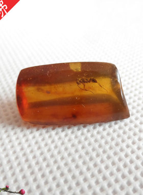 天然虫珀 琥珀带完整飞虫一只 清晰 虫体完整--店主收藏