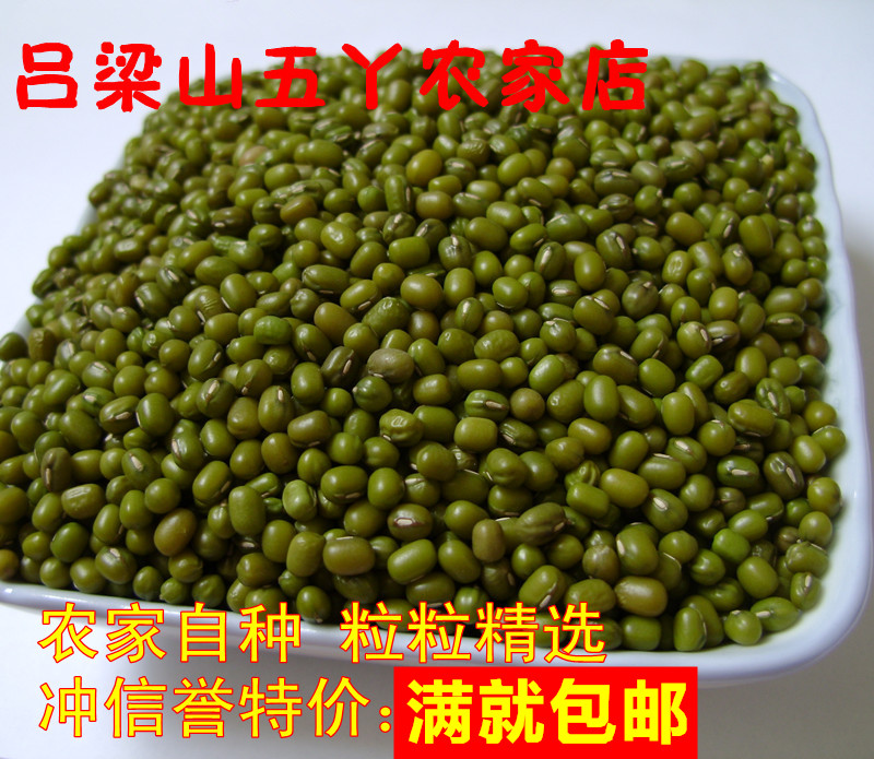 农家小绿豆山西吕梁山发豆芽