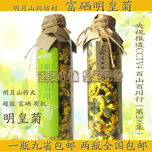江西含硒明皇菊明月山中菊刘坊村菊花花茶35克玻璃瓶包装一朵一杯