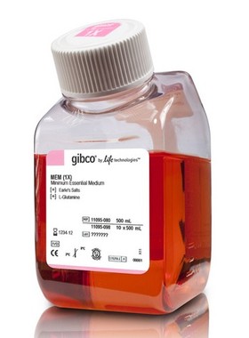 Gibco  MEM培养基(含L-谷氨酰胺,不含HEPES)  11095-080  500ml