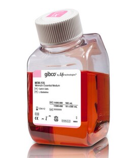谷氨酰胺 含L MEM培养基 500ml 11095 080 不含HEPES Gibco